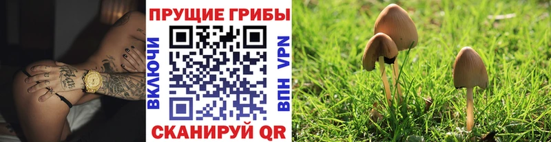 купить   Санкт-Петербург  Галлюциногенные грибы прущие грибы 